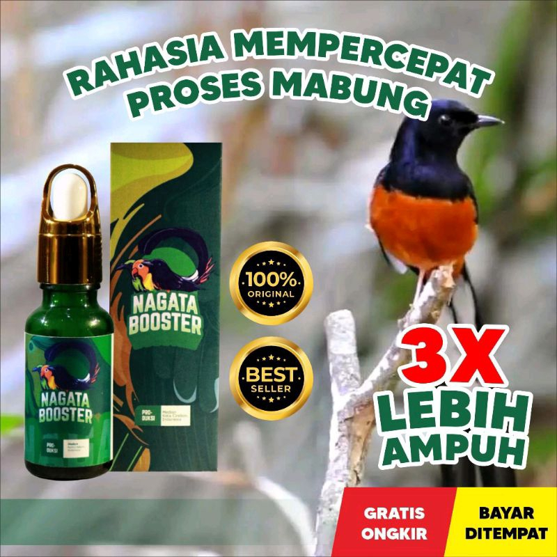 Nagata Booster Vitamin Burung Tuntaskan Mabung, Macet Bunyi dan Permasalaha Kicau / Vitamin Burung N