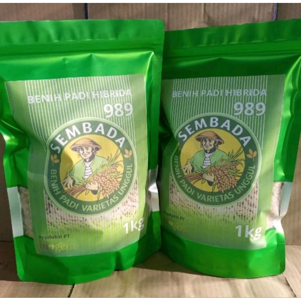 (10kg) BENIH BIBIT PADI HIBRIDA SEMBADA 989GEN2 ORIGINAL 100%