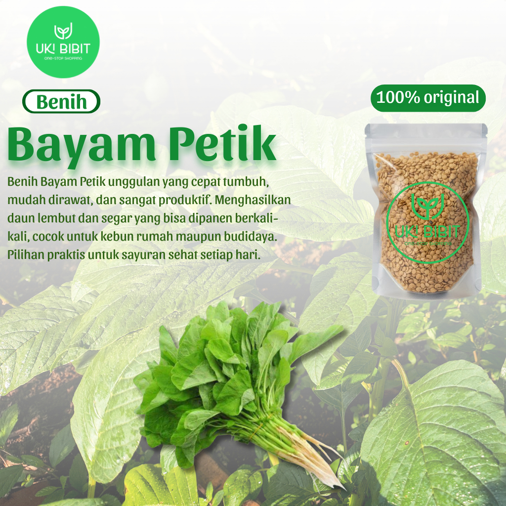 ( 10 Gram ) Benih Biji Bayam Petik | Bayam Kakap | Bayam Daun Lebar