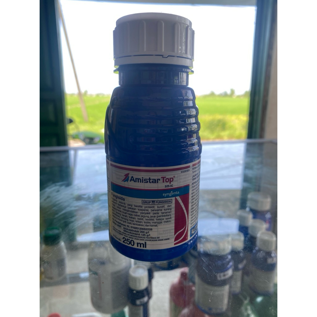 AMISTARTOP 250ml FUNGISIDA ORIGINAL