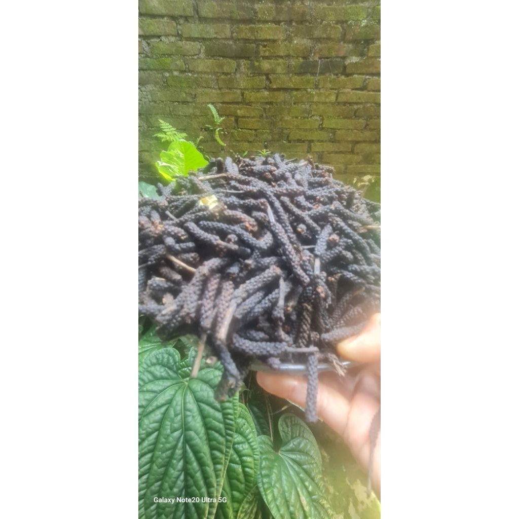 cabe jamu jawa kering 1kg