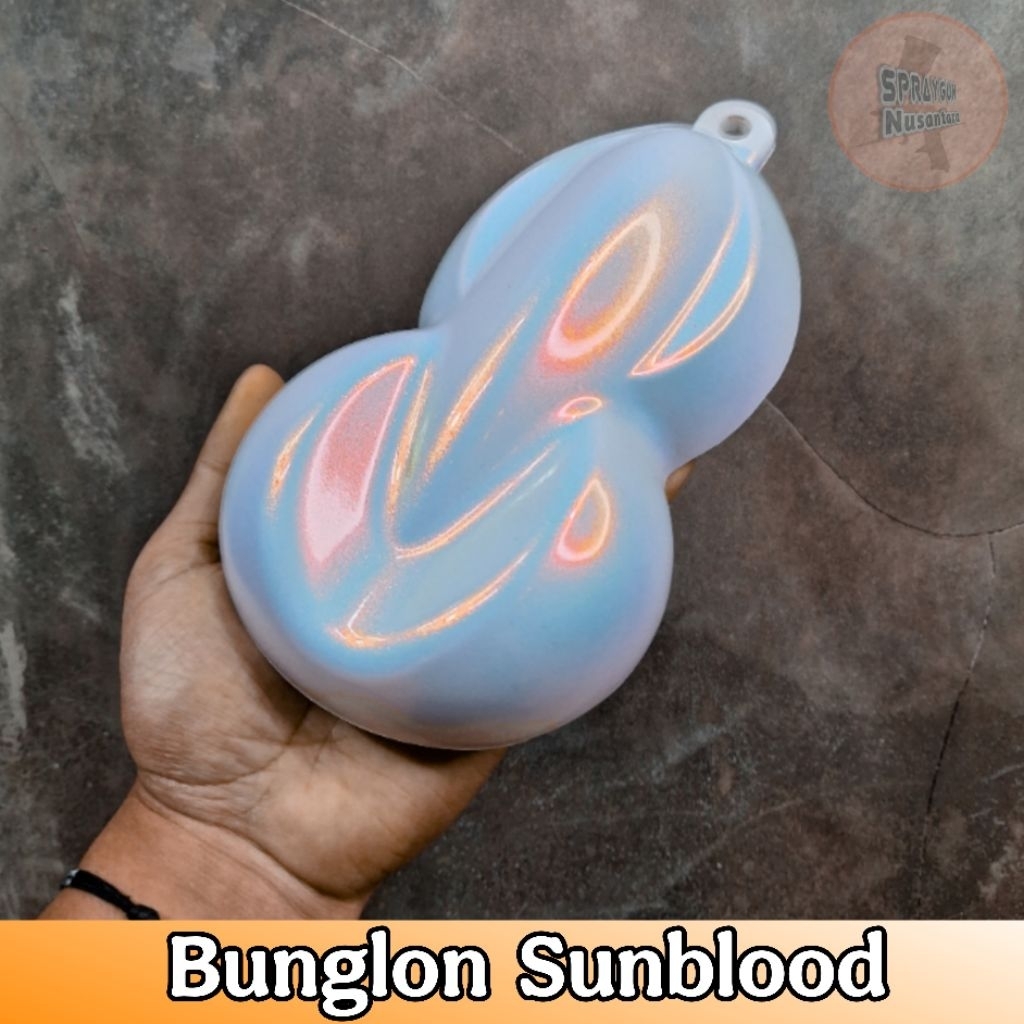 Bunglon Sunblood - Cat Motor/Mobil