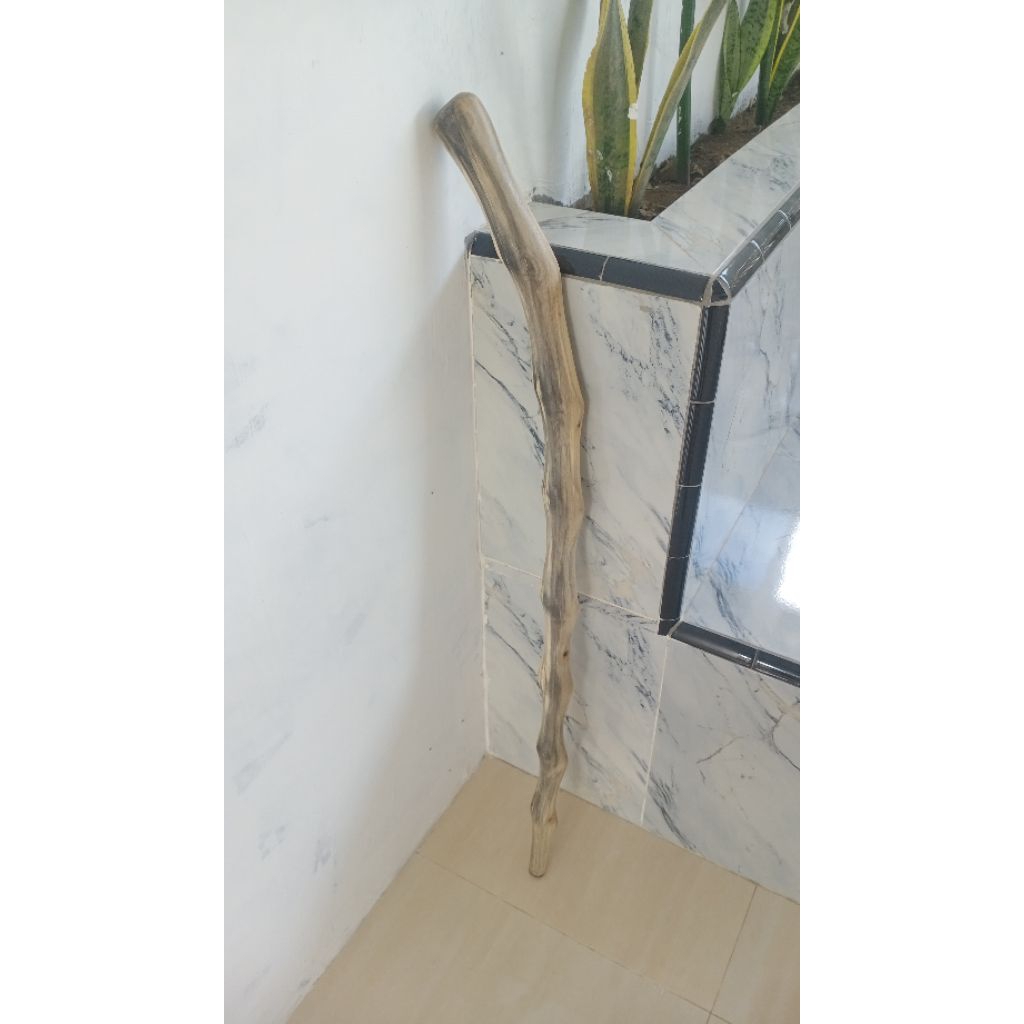 tongkat jalan kayu bidara arab unlimitid