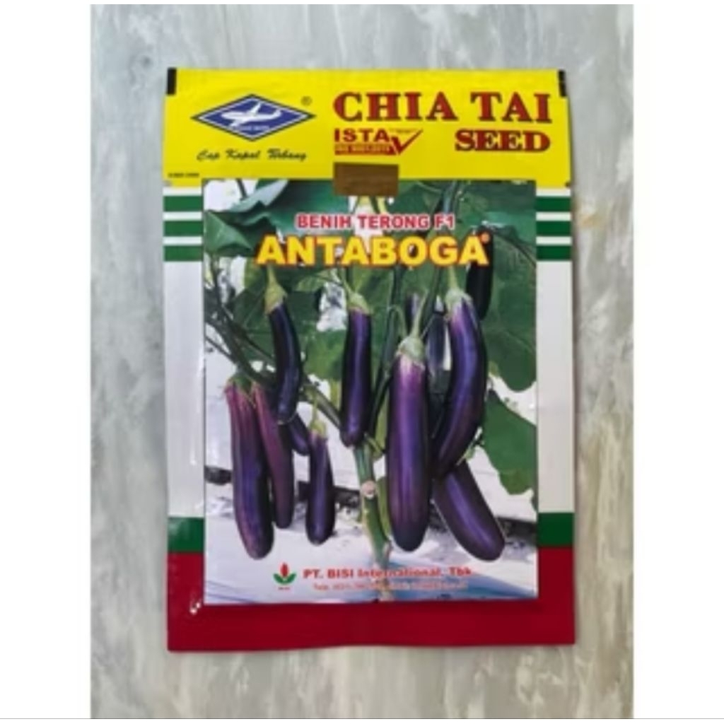 500 Benih Terong Ungu Antaboga Cap Kapal Terbang