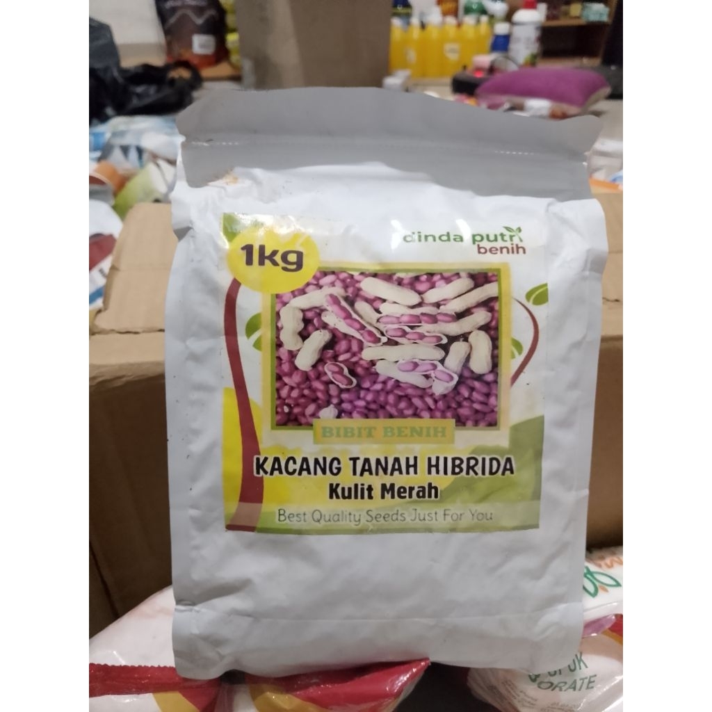 bibit /benih kacang tanah kulit merah isi 1kg (new packaging) /benih kacang tanah hibrida kulit mera