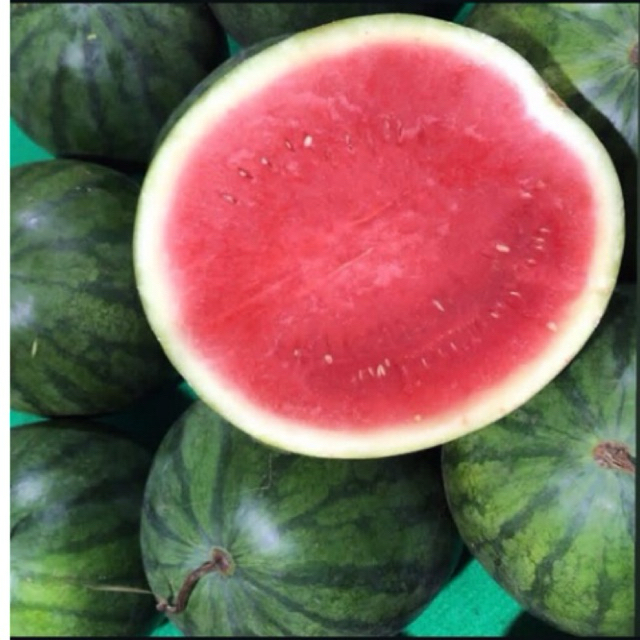 Buah Semangka Merah 1 Buah / Buah Semangka Merah Manis/Semangka Murah/Semangka Tanpa Biji/Es Semangk