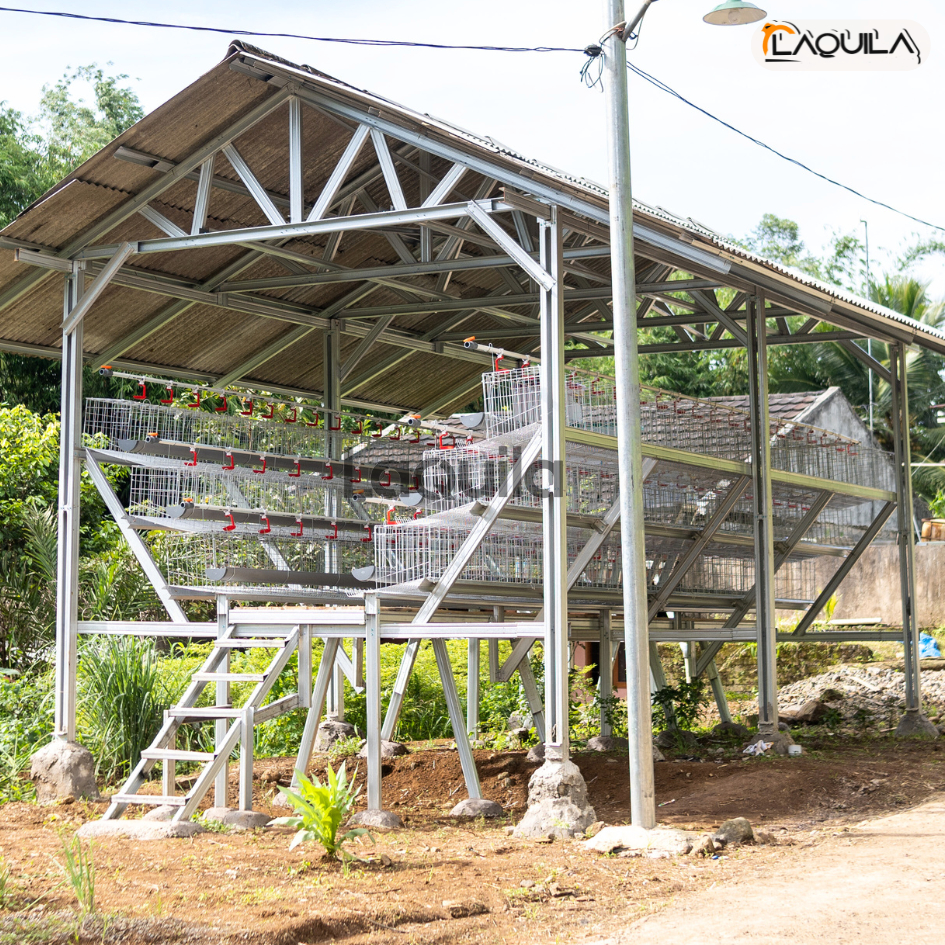 Paket Kandang Galvanis Ayam Petelur Per 100 Ekor Fullset Bangunan Struktur Baja Ringan Atap Rangka