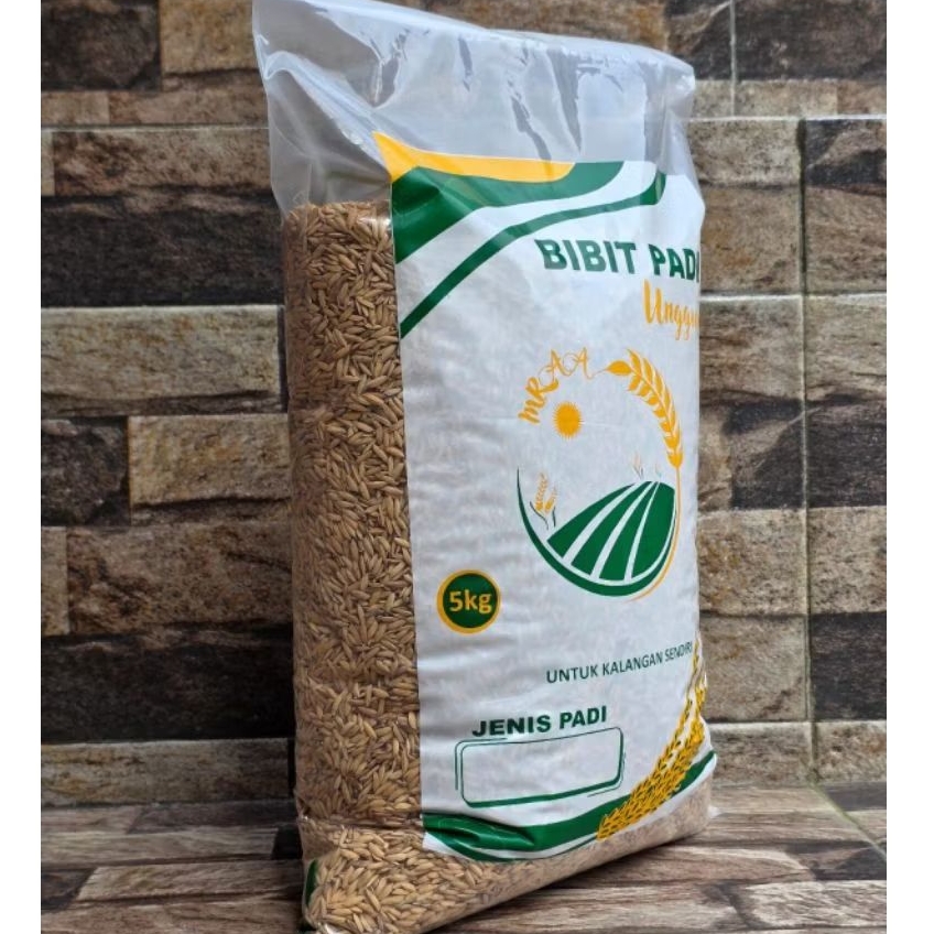 BENIH PADI UNGGUL PADI MERAH BERAS HUMA PADI KUALITAS PREMIUM