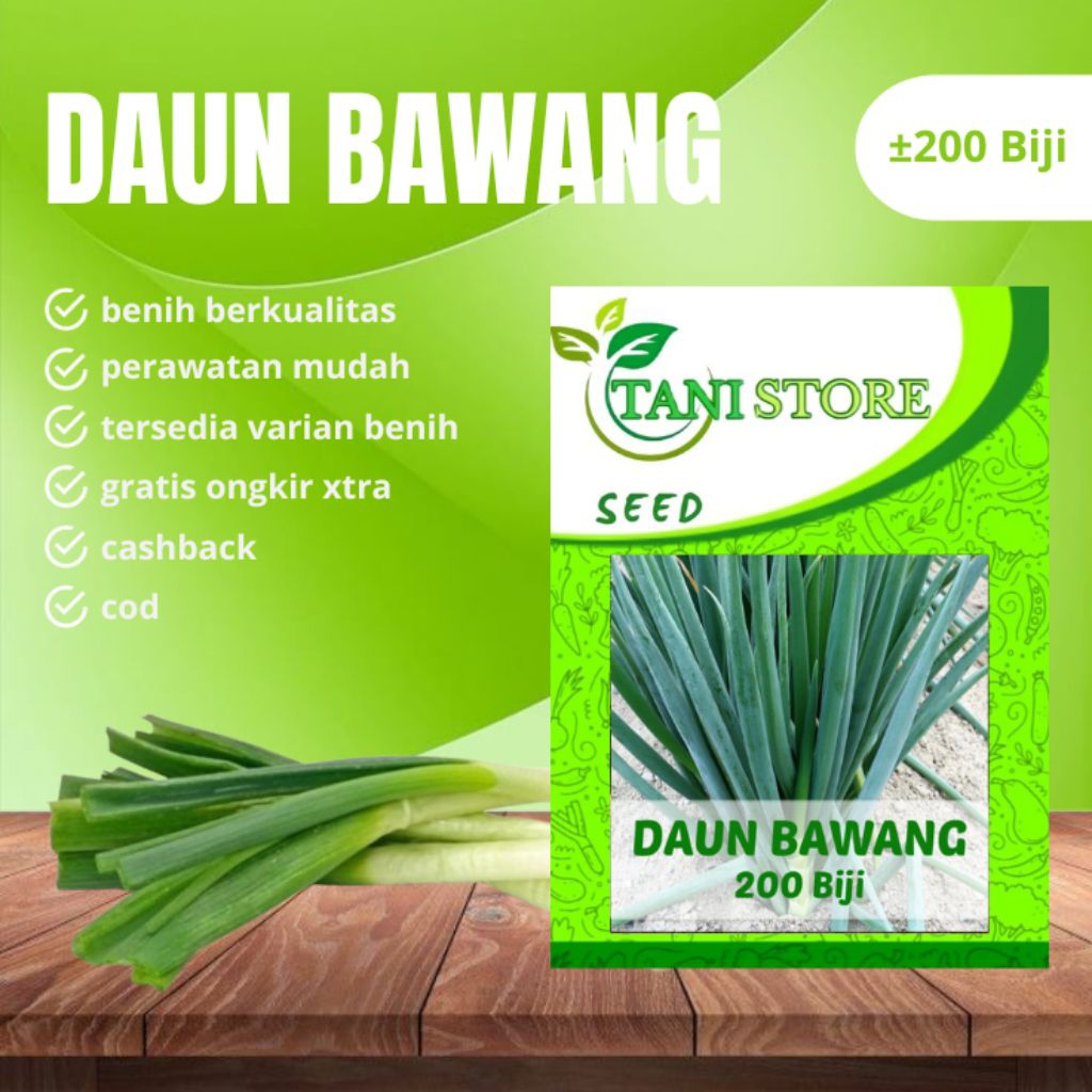 Benih Bibit Daun Bawang Hibrida f1 Repack ± 200 Biji