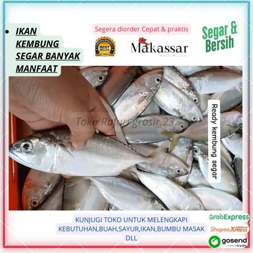 Ikan Kembung Segar—Daging Lembut Gurih Cocok Bakar & Goreng  Kembung Laut Super Fresh—Baru Panen Nel