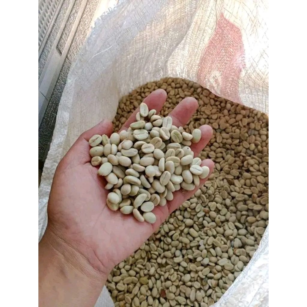 gabah kopi semaian (5kg)