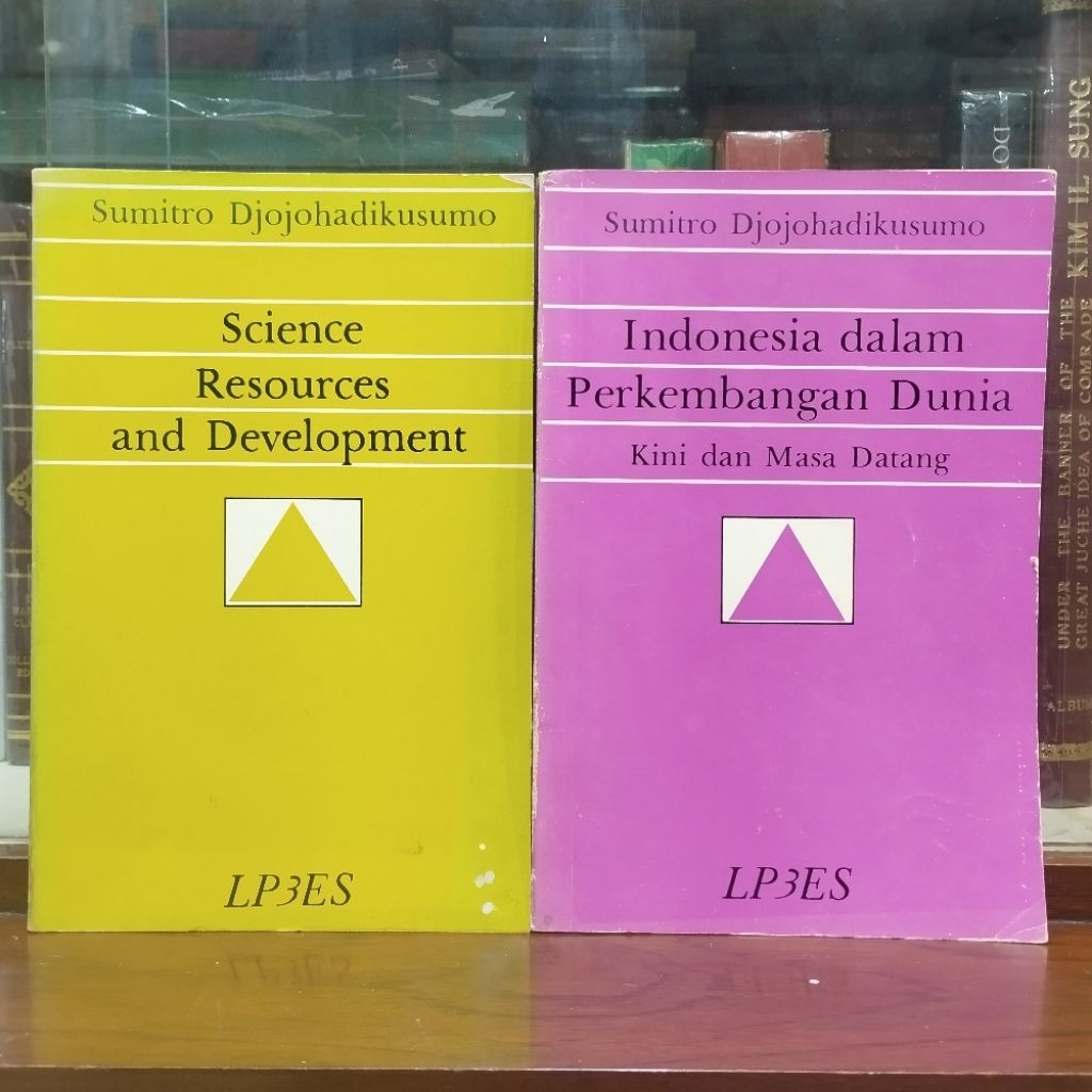 Sumitro Djojohadikusumo Essay