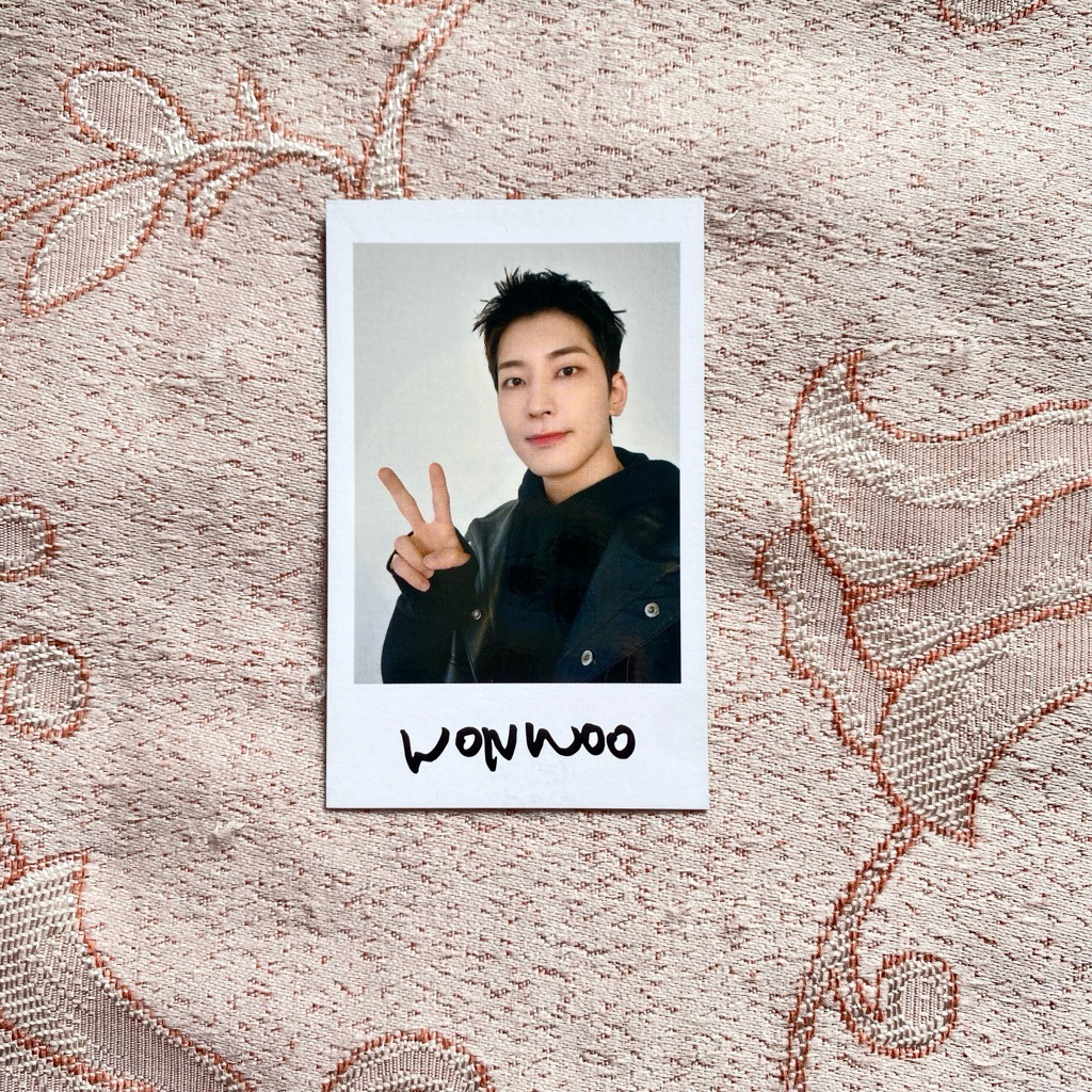 SEVENTEEN INSTANT PHOTO STICKER FOLLOW JP WONWOO