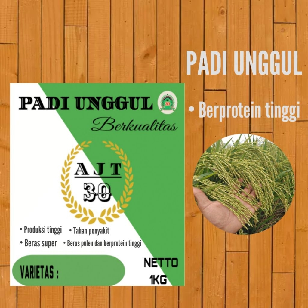 Benih padi unggul hibrida Varietas INPARI 32  kemasn 1kg