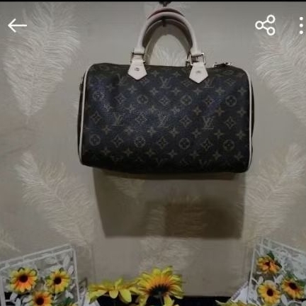 LV Spedy 30 Monogram. Lengkap No.Seri