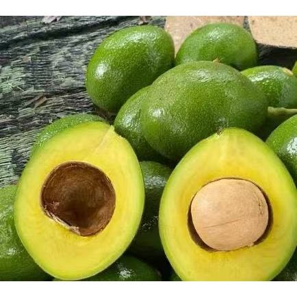 ALPUKAT ALIGATOR MARKUS 1KG Besar Daging Tebal Fresh tidak hitam