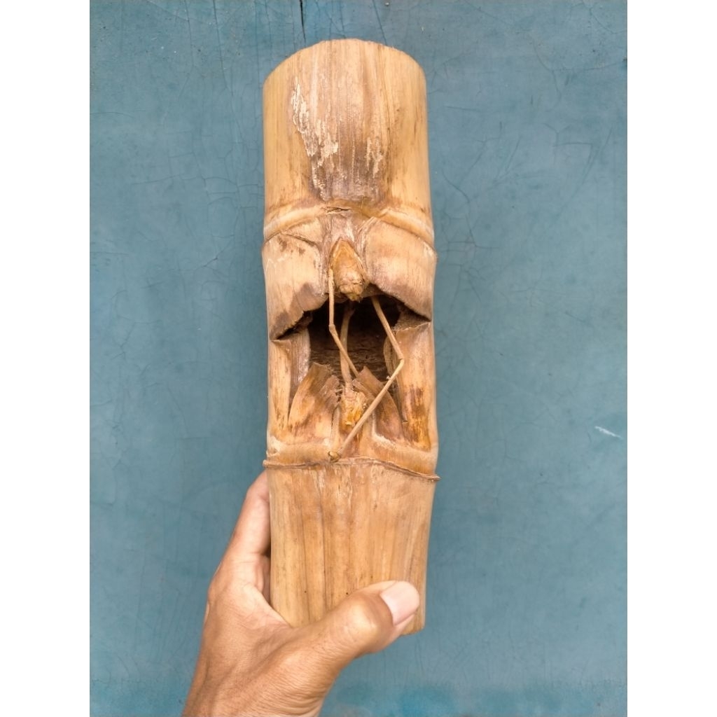 BAMBU UNIK PETUK JALU RAJUT SUKMO BATANG UTAMA (25 CM) APUS ISTIMEWA