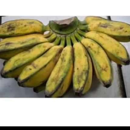pisang kepok kuning kalimantan satu sisir berat 1 kg