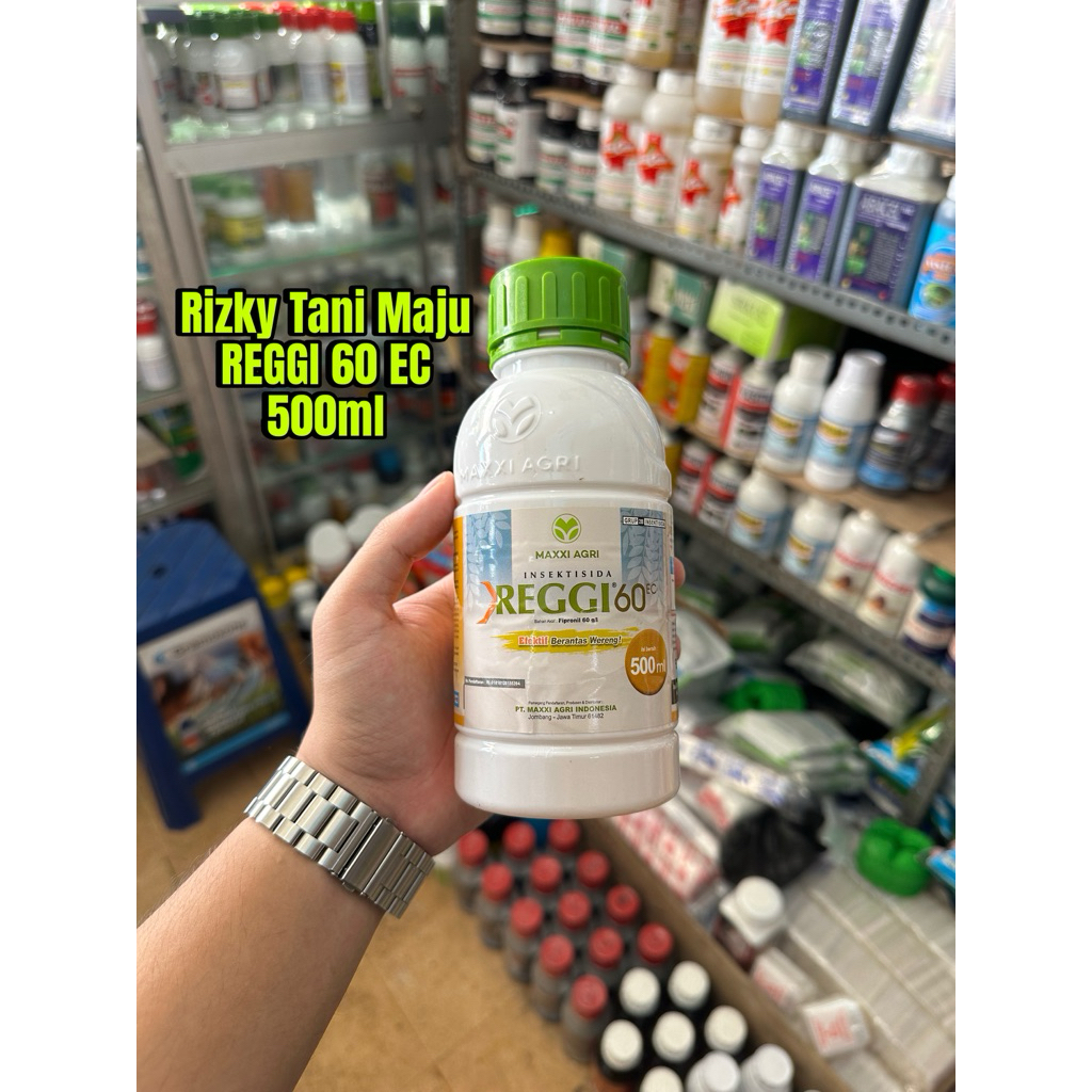 REGGI 60EC - 500ML (Fipronil 60EC) Insektisida