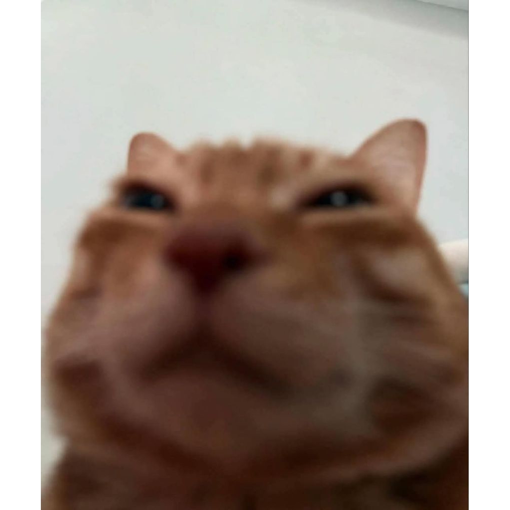 RENTAL KOSTUM PELUNASAN