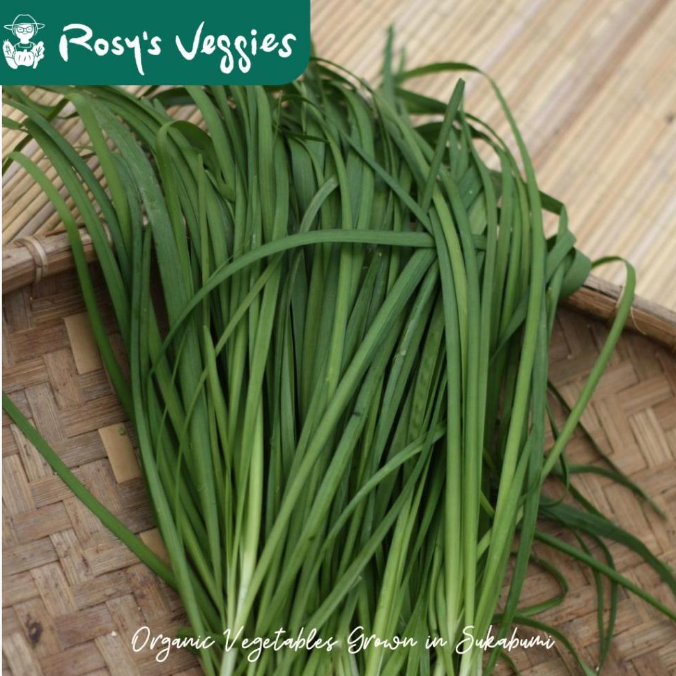 Kucai Organik | 150 gr