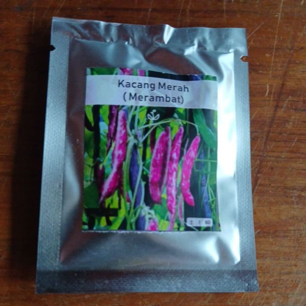 Bibit benih Kacang Merah