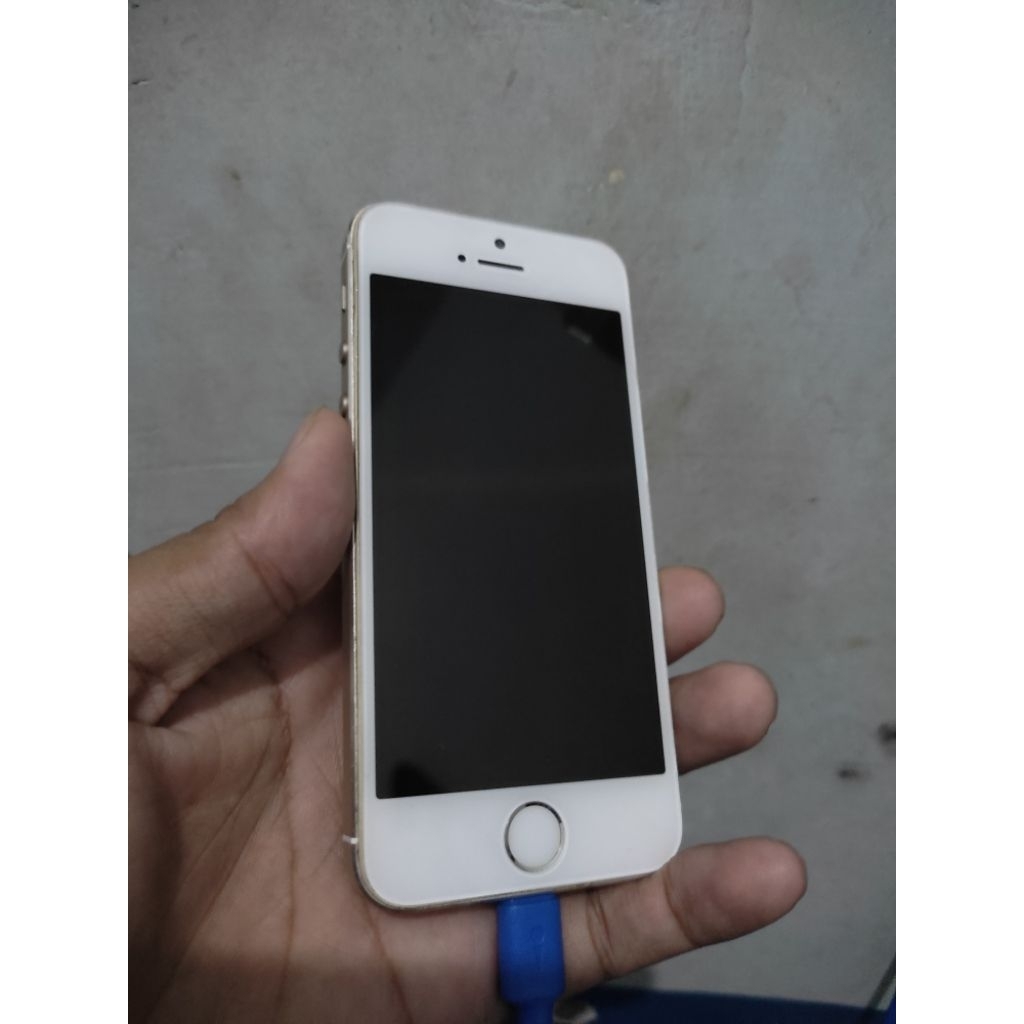 Housing Set iPhone 5s