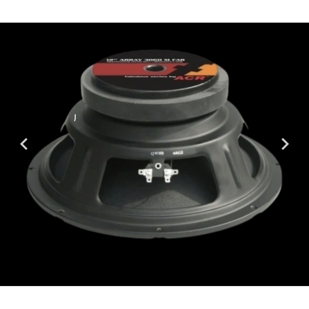 ARRAY 3060 M Fabulous Series By ACR | 12 Inch - Woofer