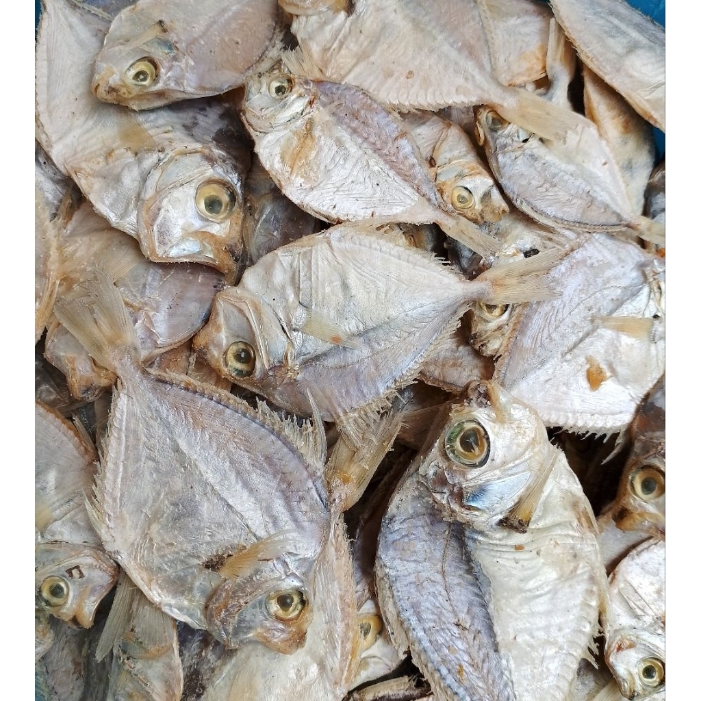 IKAN ASIN DODOK KERING