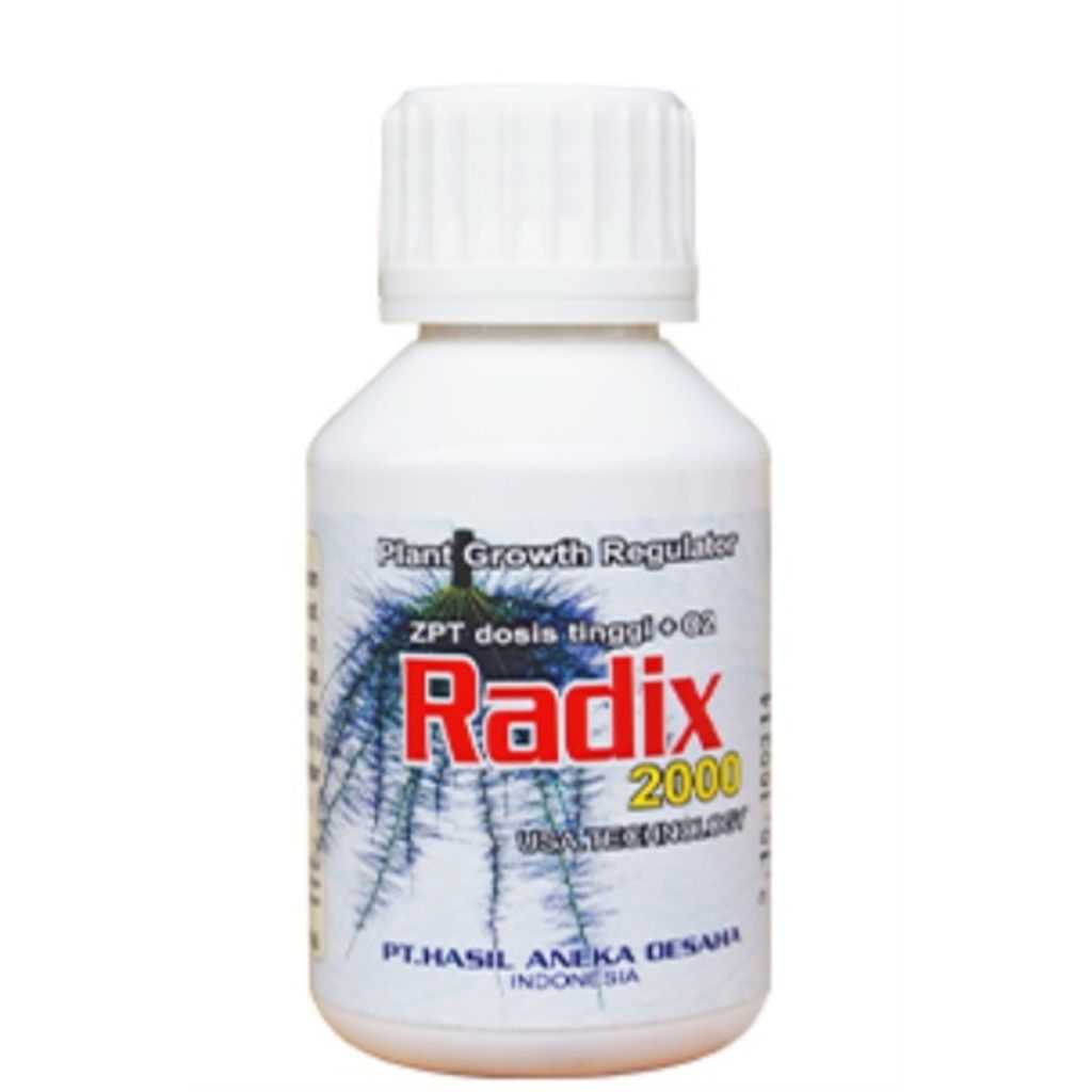 Radix2000