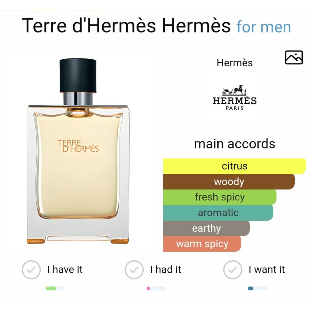 terre d*ermes 100 ml
