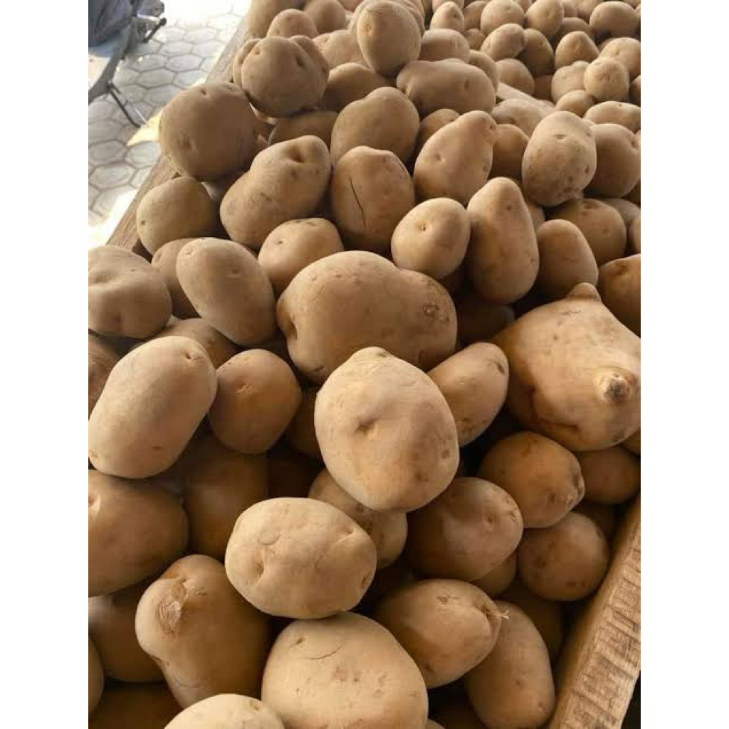 Kentang dieng fresh menengah ke atas DN 1kg(1000g) dari petani langsung