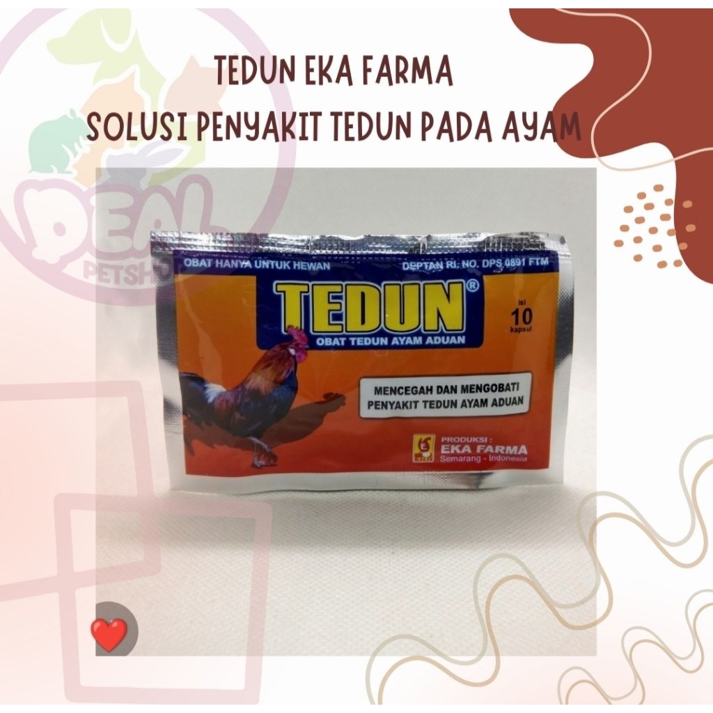 TEDUN EKA FARMA SOLUSI PENYAKIT TEDUN PADA AYAM