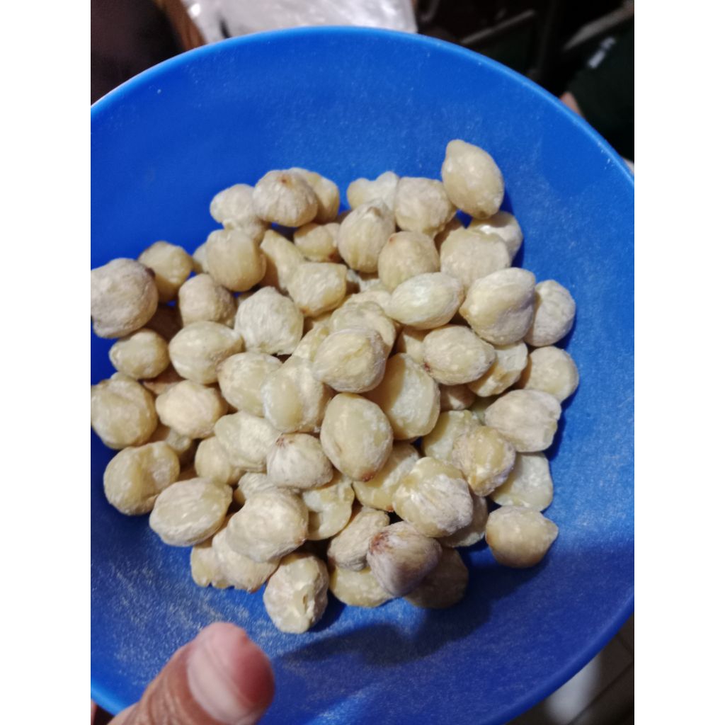 kemiri 1kg