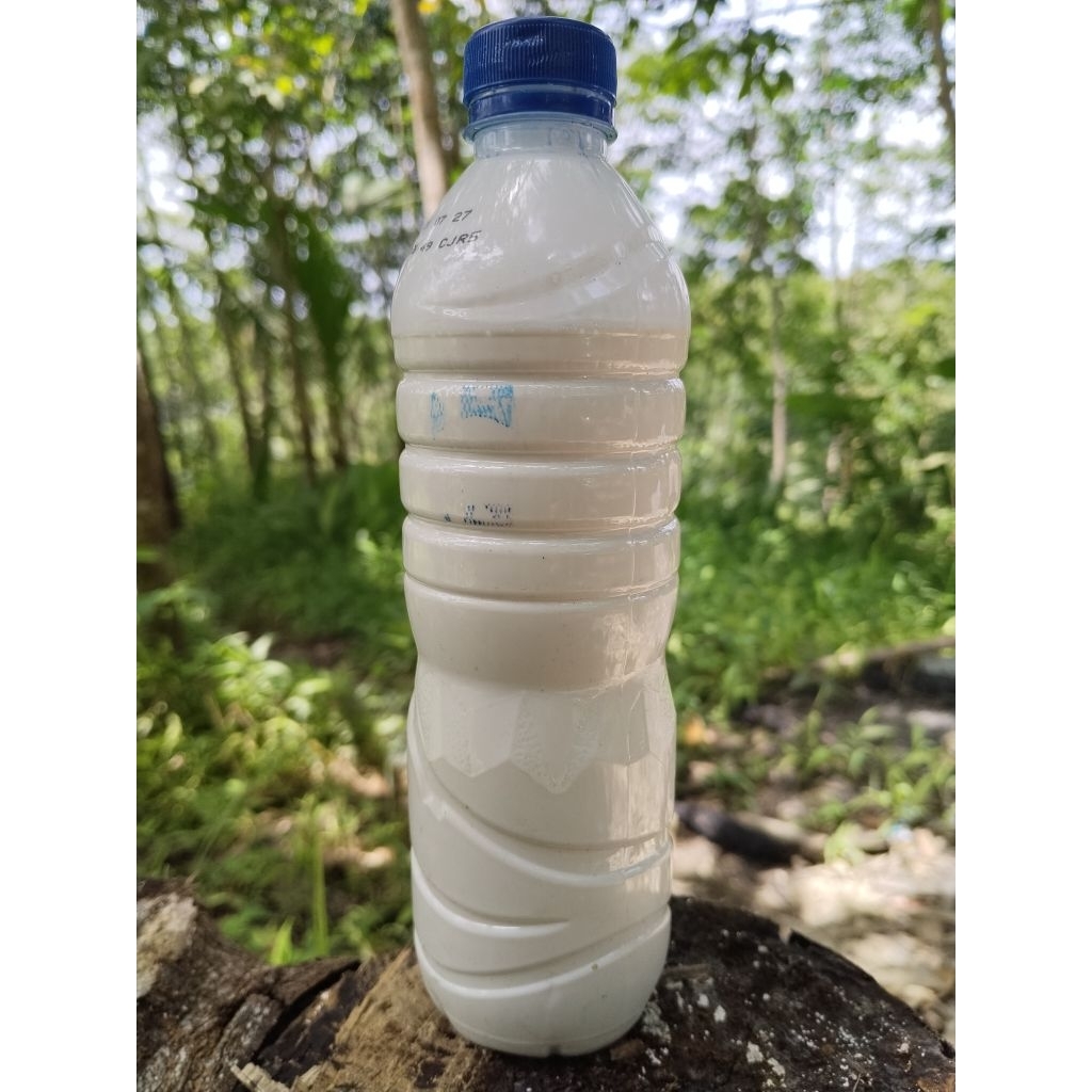 Getah Karet Cair Asli isi 600ml