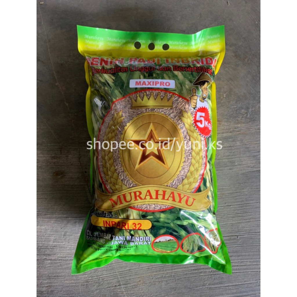 Benih Padi Premium Murahayu Inpari 32 Maxipro