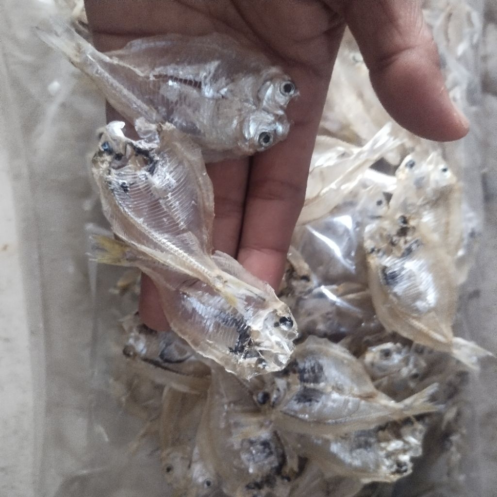 Ikan Asin kalapan belah Tawar Murah / ikan kerupuk tipis kering  1 kg