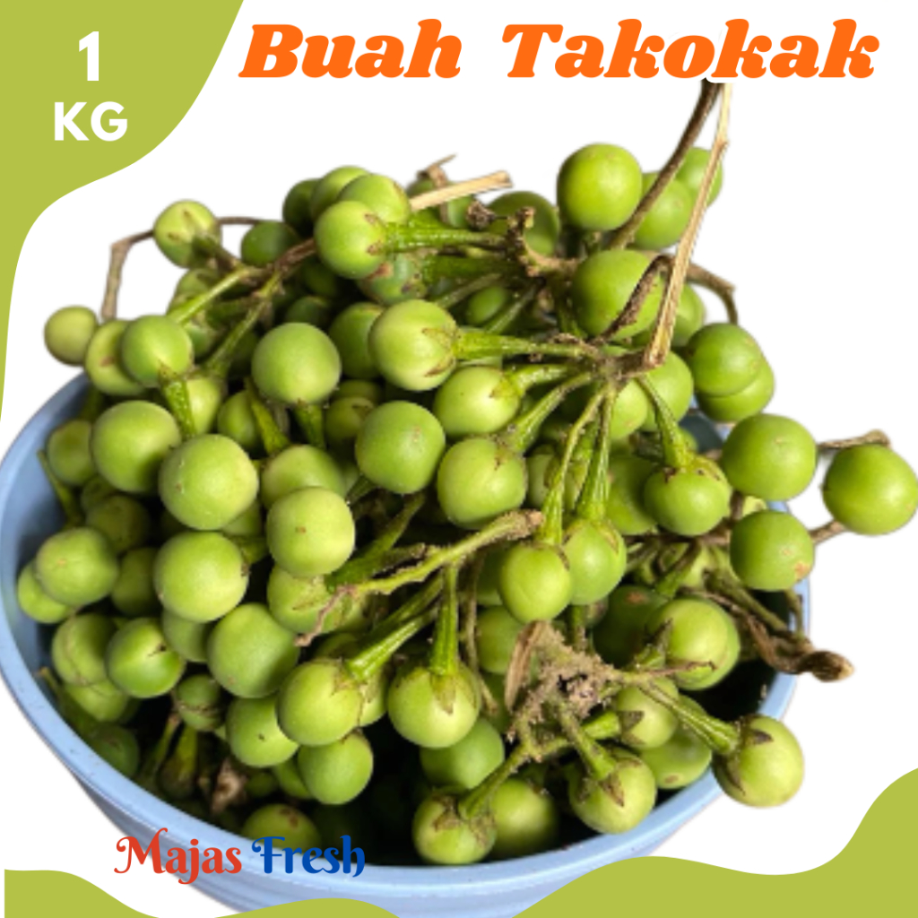 BUAH TAKOKAK Segar - Sayur Buah Rimbang Tekok Pokak Medan Fresh | 1.000gr [ Harga Per KG ]