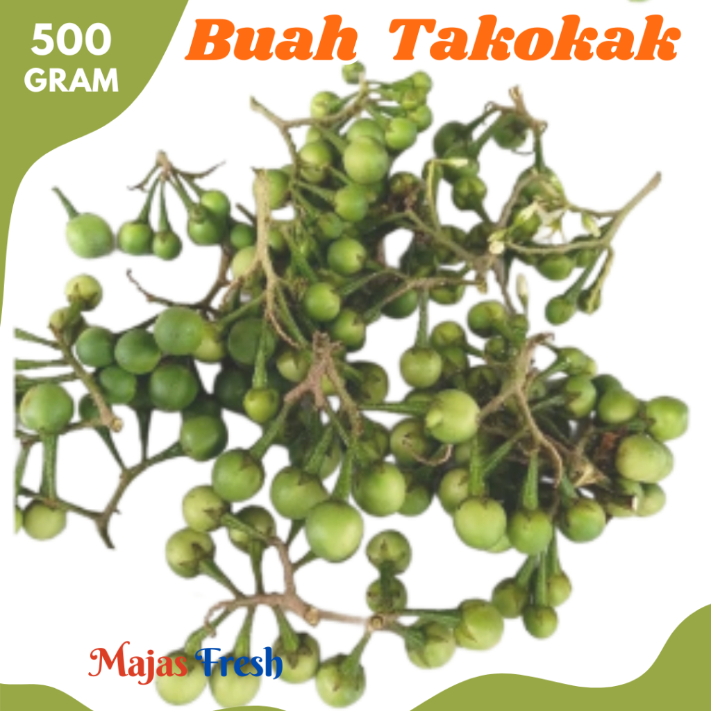 BUAH TAKOKAK Segar - Sayur Buah Rimbang Tekok Pokak Medan Fresh | 500gr [ Harga Per 0,5 Kg ]