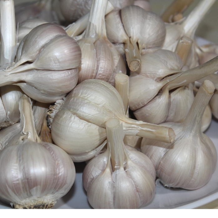 Bawang Putih Kating 1kg