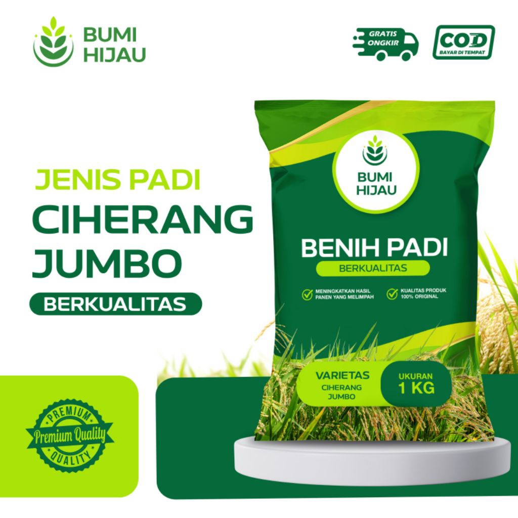 BENIH PADI BIBIT PADI CIHERANG JUMBO KEMASAN 1KG KUALITAS SUPER PREMIUM