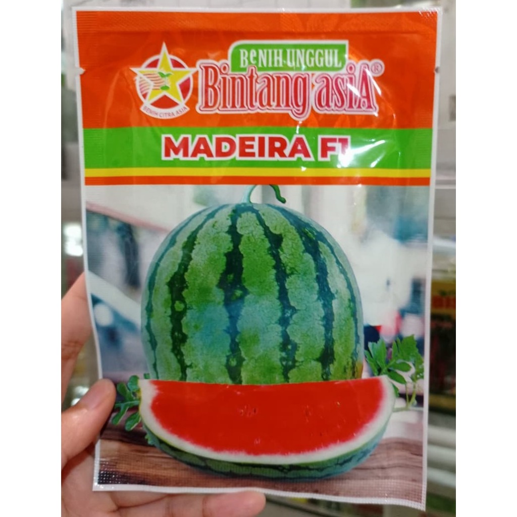Benih semangka MADEIRA F1 kemasan 20 grm Bintang asia