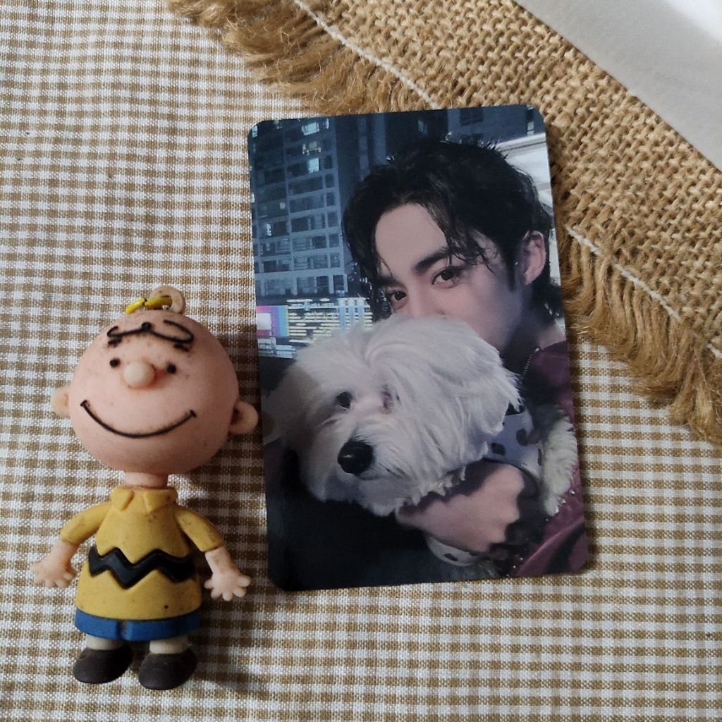 [ BOOKED ] SEVENTEEN - SCOUPS KKUMA FML UMS TOKYO + HOME PHOTOCARD OFFICIAL