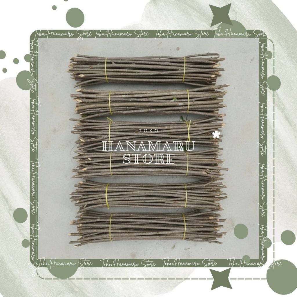 Promo Bibit Pohon Gamal / Pohon Gamal 1 Meter