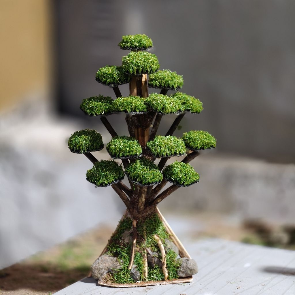 bonsai aquascape pinus sintetis (PINUS)