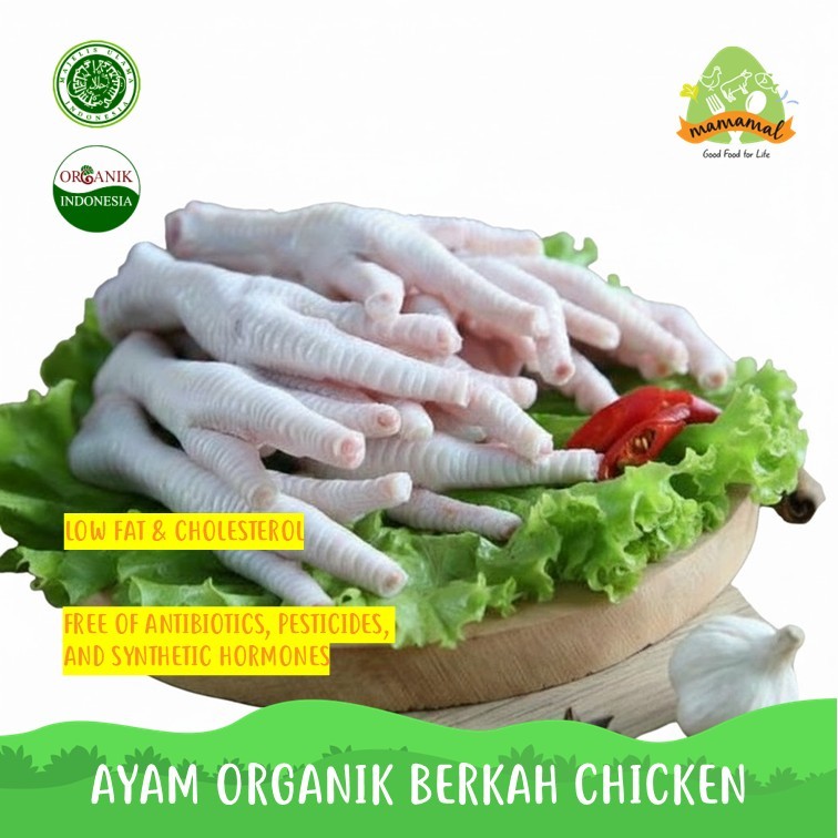 Berkah Chicken Ceker Ayam Organik