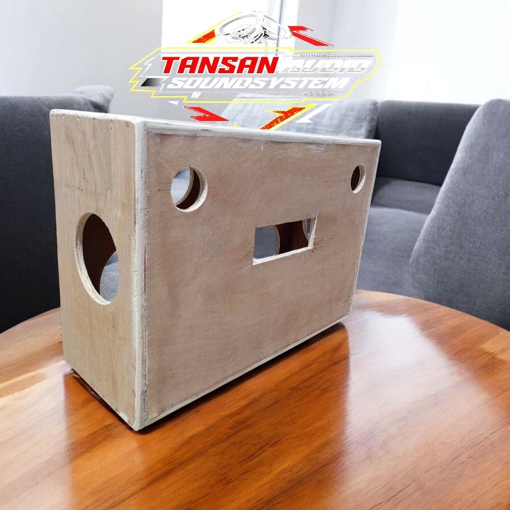 Box Speaker Costum DIY