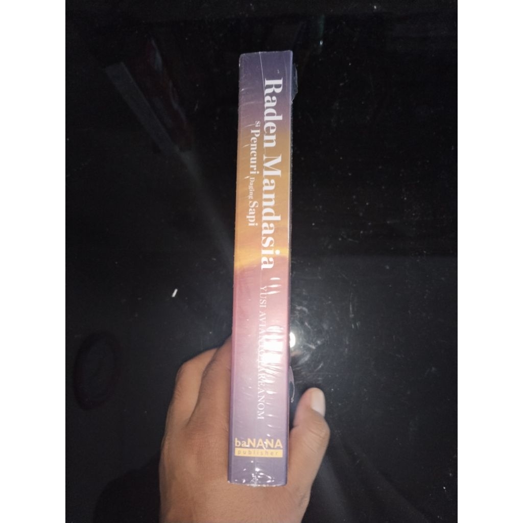Novel Raden Mandasia New Original