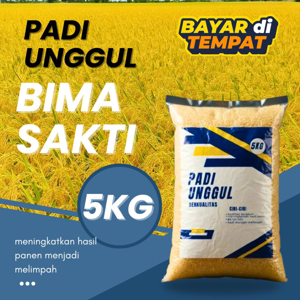 benih padi bima sakti 5kg