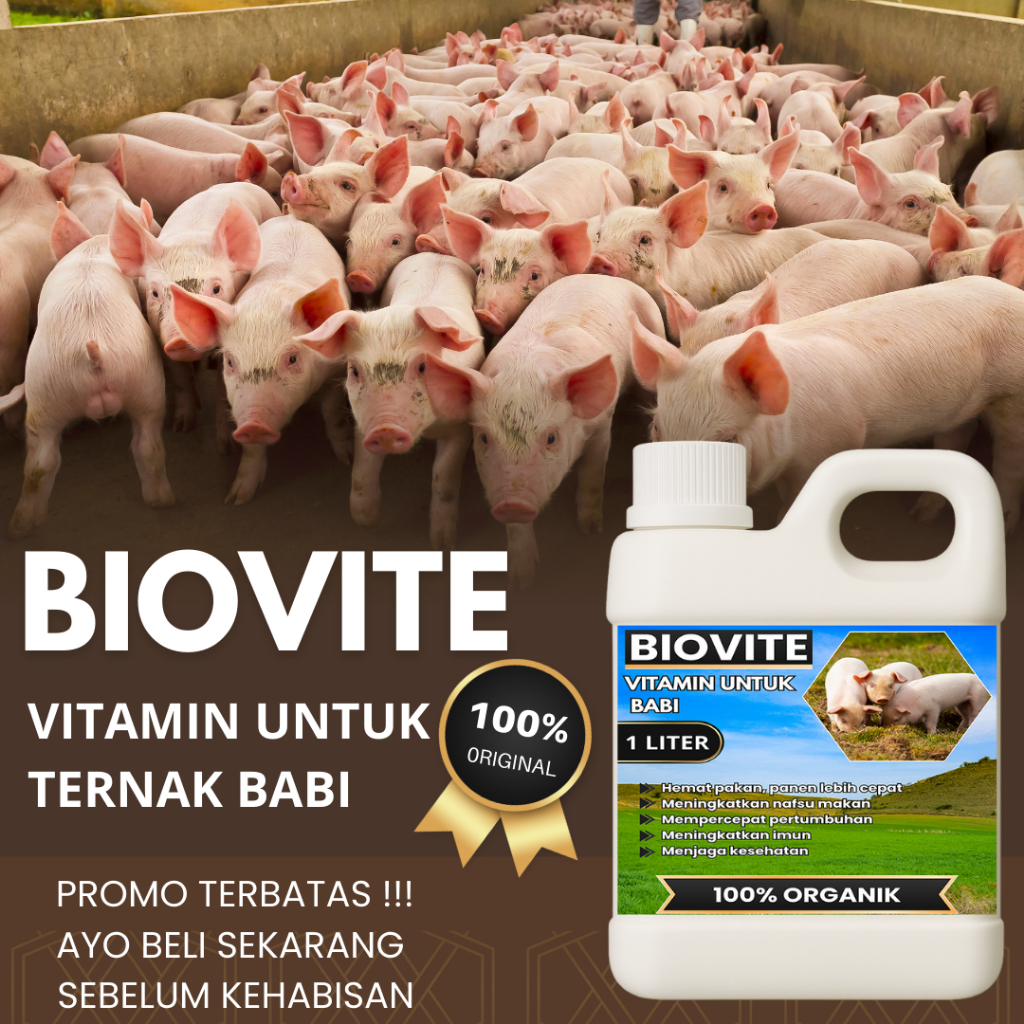 Vitamin babi probiotik-vitamin ternak babi-Mempercepat pertumbuhan babi